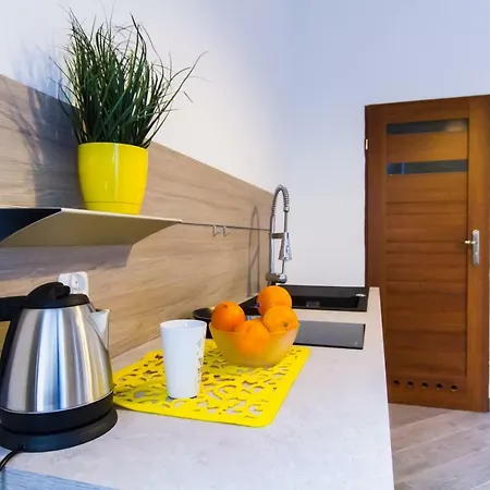 Ξενοδοχείο Studio Loft Ełk